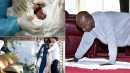 Push-ups to fake guests: Curious African coronavirus moments
