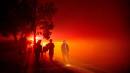 California fires: Bay Area hit by blazes forcing thousands to evacuate