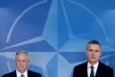 Mattis Tells NATO To Up Defense Spending
