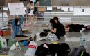 Hong Kong protesters apologise after violence in airport