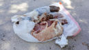 15 Pounds of Frozen Meat Falls From Sky on Florida Man's House