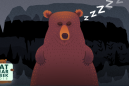 Bear hibernation is a superpower, but it comes with a cost