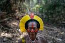 Amazon crisis: Warring tribes unite against Bolsonaro plans to devastate Brazil's rainforests for cash