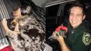 A Florida cop rescued a puppy from a flooded vehicle and named her 'Dorian' after the deadly hurricane