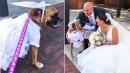 Dog Wearing Wedding Dress Steals the Show During Her Owner's Big Day