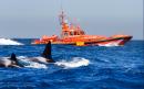 Sailing stopped as killer whales attack yachts off Spanish coast