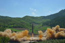 US Officials Weigh Options After North Korean Missile Launch