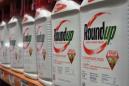 Roundup weed killer contributed to man's cancer, 1st US federal trial told