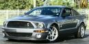 Monday Muscle: 2007 Ford Mustang Shelby GT500