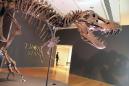 T-Rex fossil sells for record-breaking $31.8 mn