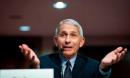 Fauci says US death toll 'going to be very disturbing' and fears 100,000 daily cases
