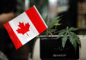 Yahoo News Explains: What Canada's cannabis legalization will look like