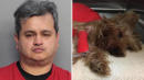 Man Beats Tiny Yorkie to Death for Vomiting in His Car: Cops