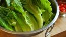 Latest E. Coli Outbreak Is Over; Consumer Reports Says It's Safe to Eat Romaine Lettuce