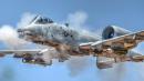 A-10 Warthog: Pilots Who Fly Them Love Them (And They Told Us Why)