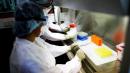 Chinese Authorities Gagged Laboratories in December over Coronavirus-SARS Connection