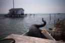 Residents of shrinking US island reject 'climate victim' label