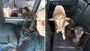 Cop Apprehends 2 Pygmy Goats Caught Wreaking Havoc and Eating Cat Food in Garage
