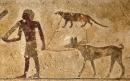 Tomb Drawing Shows Mongoose on a Leash, Puzzling Archaeologists