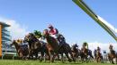 Over 2 dozen charged in horse racing drug scam