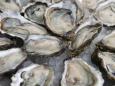 71-year-old man dies from bacterial infection after eating oyster in Florida