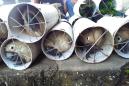 Indonesia smugglers stuffed exotic birds in pipes: police