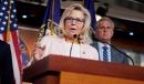 Liz Cheney Backs Barring Erdogan Bodyguards Who Assaulted Protesters from U.S. Reentry