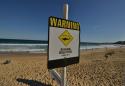 Diver killed in Australia shark attack