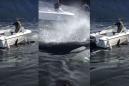 Killer whales toss boats like toys while hunting a sea lion