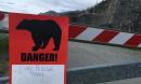 Rare spate of bear attacks leaves two dead in Alaska