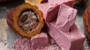Researchers Just Invented A Whole New Chocolate And It's Pink