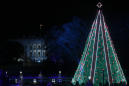 National Christmas Tree to Stay Dark During Holiday Due to Government Shutdown