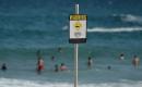 Surfer 'mauled in Australia shark attack'