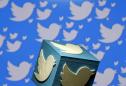 Twitter warns fake account purge to keep erasing users, shares drop 19 percent