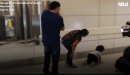 Un niño hondureño no reconoce a su madre tras haber sido separados en la frontera de EEUU (vídeo)