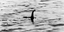Study Reveals What the Loch Ness Monster May Be