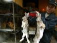 Wuhan has banned eating wild animals and nearby provinces are offering farmers cash to stop breeding exotic livestock