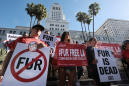 California governor signs fur sale, circus animal bans