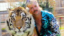 Coronavirus: 'Tiger King' star now in virus isolation, says husband