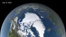 'A crazy year up north': Arctic sea ice shrinks to 2nd-lowest level on record