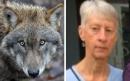 British tourist mauled to death in Greece by rabid wolves not stray dogs, coroner believes