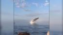 Rare triple whale breach close to boat stuns onlookers