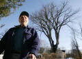 Clones help famous elm tree named Herbie live on, for now