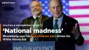 Bloomberg says ending 'nationwide madness' of gun violence drives his presidential bid