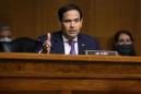 Marco Rubio: Trump will 'probably be the nominee' if he runs in 2024