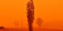 Red skies are blanketing southeast Australia as hundreds of fires ravage the country