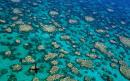 Great Barrier Reef given £275million investment as damage spreads