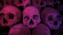 Over 40 skulls found in den of Mexico cartel suspects