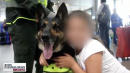 Colombian Cartel Puts $70,000 Price On The Head Of Drug-Sniffing Dog