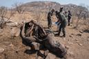 China postpones lifting rhino, tiger parts ban
